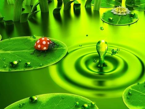 1268985622_470x353_natural-green-wallpaper